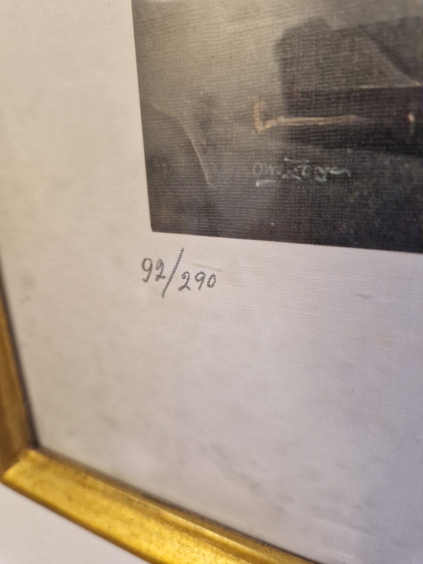 Fotografiska reproduktioner 5