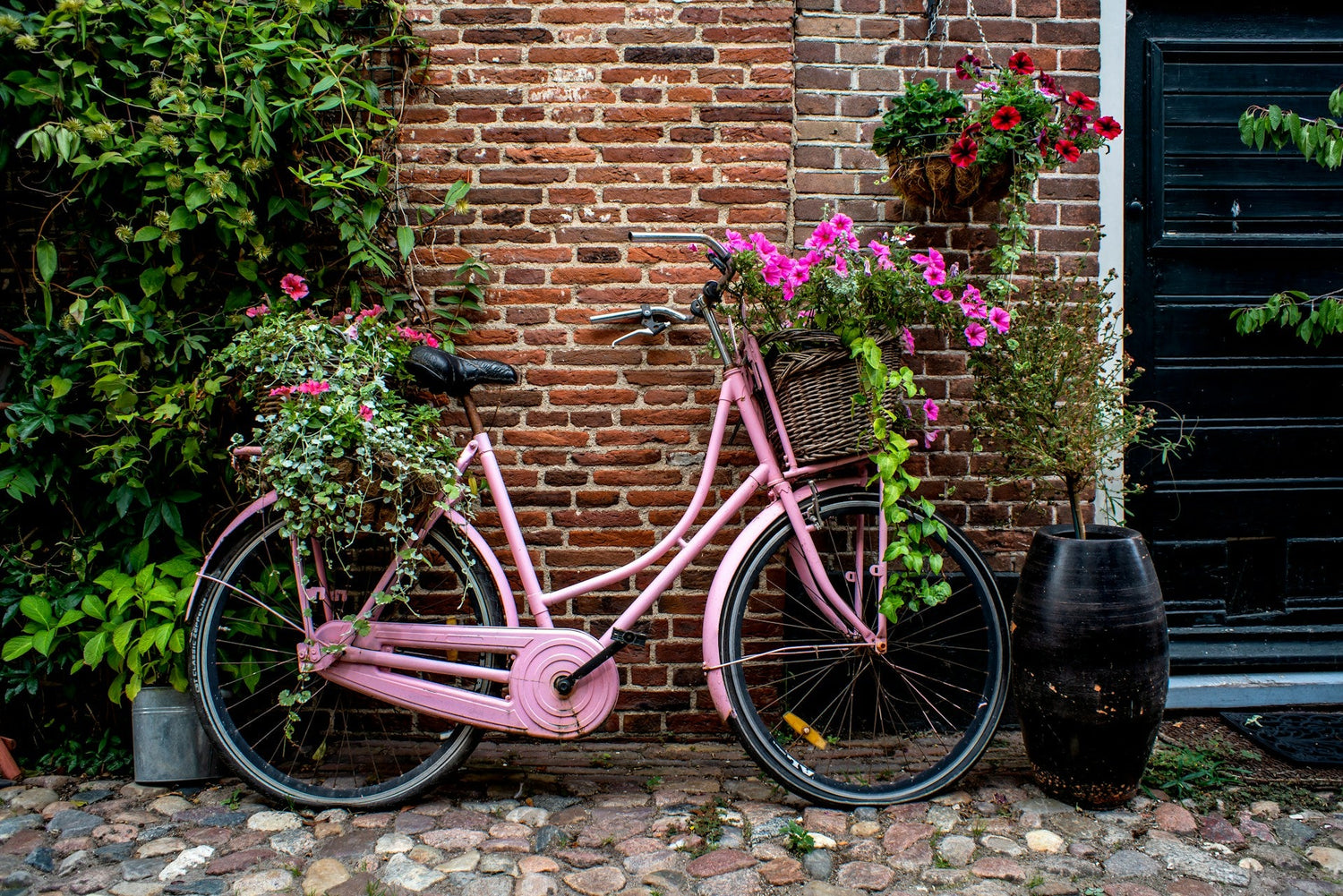 Cyklar & Mopeder