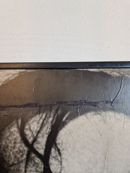 Affischer & fotomontage